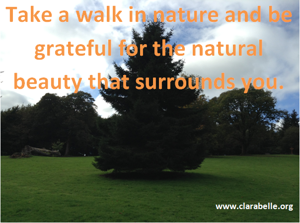 Take a walk in nature